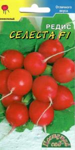 Редис Селеста Цвет сад