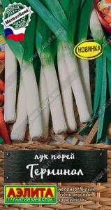 Лук порей Терминал 1г Ср (Аэлита)
