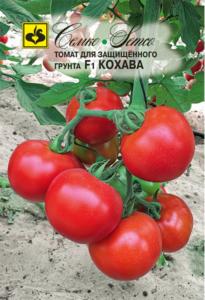 Томат Кохава F1,И.жаро и холодост,до200г. Семко
