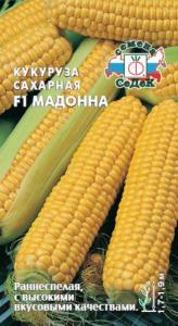 Кукуруза Мадонна сах. (Седек)