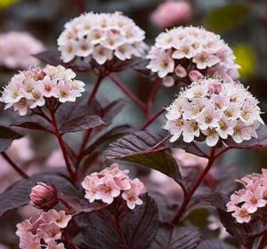 Скриншот 21-04-2026 145555