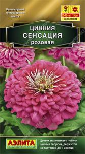 Цинния Сенсация розовая 12шт Одн 40см (Аэлита)