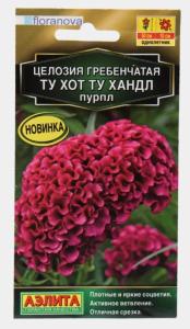Целозия Ту хот ту хандл пурпл гребенчатая 5шт Одн 50см (Аэлита)