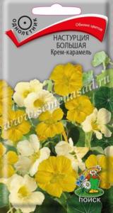 Настурция Крем-карамель большая 1г (Поиск)