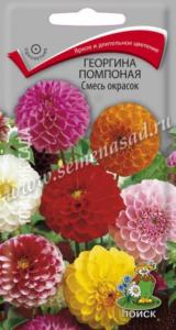 Георгина помпонная Смесь окрасок (ЦВ ) (