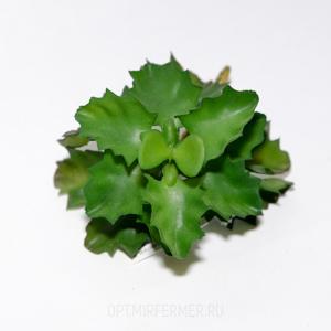 Иск.цветы суккулент h15см 9165-26