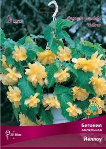 Бегония ампельная Йеллоу 2шт.4-5