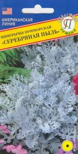 Цинерария Серебряная пыль морская 100шт (Престиж)