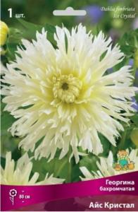 Георгина Айс Кристал 1шт.