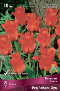 Тюльпан Грейга Ред Райдин Худ (ярко-красный, 10шт, 10-11) Тюльпан Грейга Ред Райдин Худ (ярко-красный, 10шт, 10-11)
