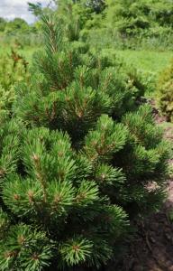 Скриншот 21-04-2026 114049