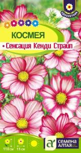 Космея Сенсация Кенди Страйп 0.5г Одн 110см (Сем Алт)