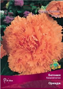 Бегония бахромчатая Ориндж 2 шт.4-5