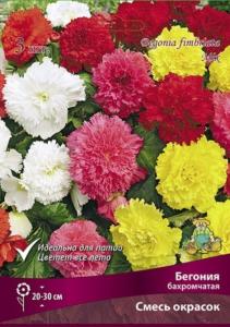 Бегония смесь Бахромчатая окрасок 3 шт.5-6 