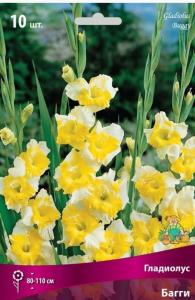 Гладиолус Багги 10-12 10шт