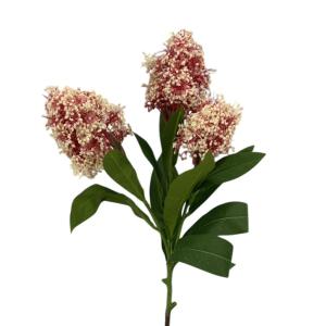 Иск.цветы Скимия