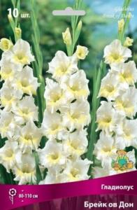 Гладиолус Брейк ов Дон (белый с кремово-жёлтым центром, 10шт, 10-12)