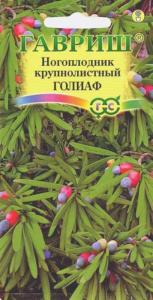 Ногоплодник Голиаф ,круглолистный 3шт Гавриш