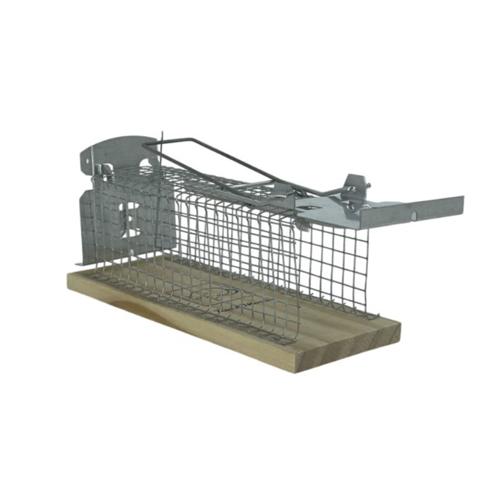 image-09-09-24-09-48-1 (1)