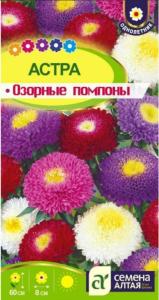 Астра Озорные помпоны 0.3г Одн 60см (Сем Алт)