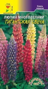 Люпин Гигантская свеча, смесь Цвет.Сад