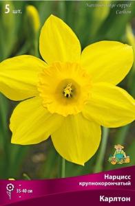 Нарцисс Крупнокорончатый Карлтон 5шт (лимонно-желтые, 12-14, h40см)