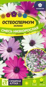 Остеоспермум Смесь низкорослая 0,1г Одн 25см (Сем Алт)