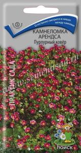 Камнеломка Арендса Пурпурный ковер 0,01гПоиск (д-цв.ковров)