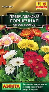 Гербера Горшечная 10шт Мн смесь 60см (Аэлита)