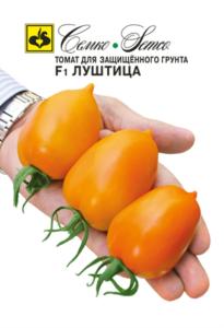 Томат Луштица -ранн, сливов,с носиком- Семко