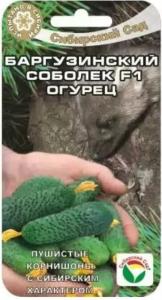 Огурец Баргузинский соболек F1 7шт (Сиб сад)