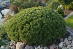 Скриншот 22-04-2026 112111