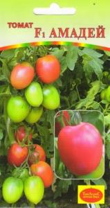 Томат Амадей F1,И.вкусн,ран,до110г. Гисок-Агро