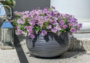 Сахара кашпо шар 12,8л антрацит ( т.серый) h20 d32-3 Польша