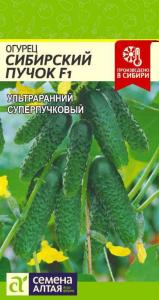 Огурец Сибирский Пучок F1-Сем Алт-цп 5 шт.