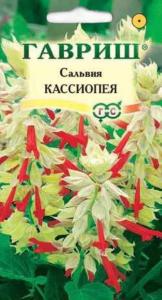 Сальвия Кассиопея карлик 5шт Гавриш