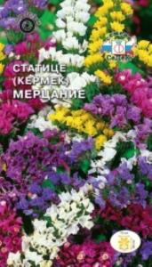 Статица Мерцание смесь (Седек) Статица Мерцание смесь (Седек)