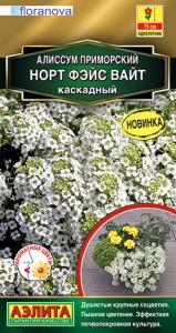 Алиссум Норт фэйс вайт каскадный 12шт Одн 15см (Аэлита)