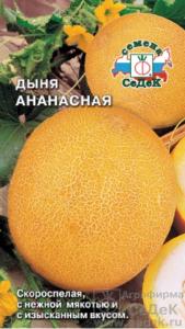 Дыня Ананасная -средн- (Седек)