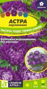 Астра Тысяча чудес карликовая Темно-синяя 0,15г Одн 20см (Сем Алт)