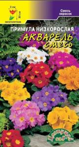 Скриншот 09-01-2023 110751