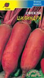 Свекла Цилиндра (Цвет сад)