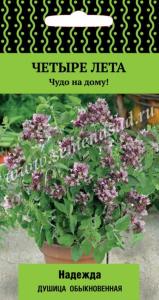 Душица обыкновенная Надежда 20шт (Поиск) Четыре лета