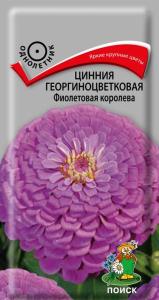 Цинния Фиолетовая королева 0,4г георгиноцв. Поиск