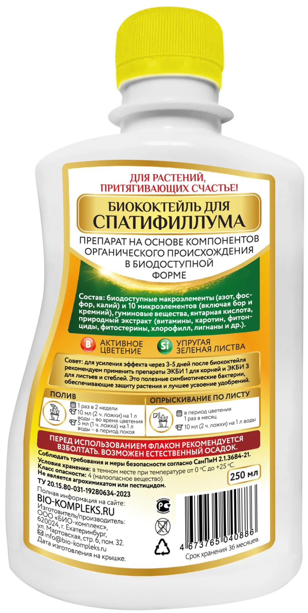 Спатифиллум зад