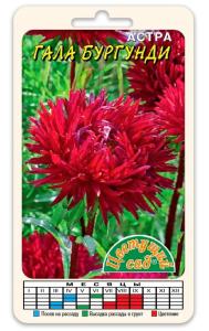 Скриншот 19-01-2024 083728