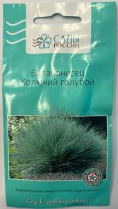 Булавоносец Колючий голубой 3шт (Сады России)