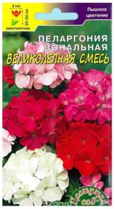 Пеларгония Великолепланая смесь Цвет.Сад