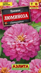 Цинния Люминоза, георгин. (Аэлита)