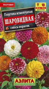 Георгина Шаровидная,смесь Аэлита